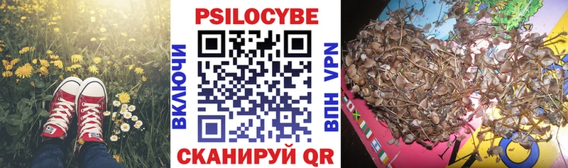 блэк спрут Бийск Галлюциногенные грибы MAGIC MUSHROOMS купить наркоту